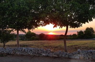 “Con lo sguardo al cielo” nel Parco Archelogico di Monte Sannace