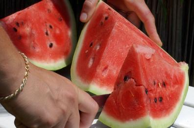 A Ferragosto in Puglia in 20mila vacanzieri scelgono l'agriturismo 