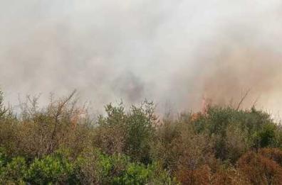 Ancora incendi, dieci ettari a fuoco nel Tarantino, nell'agro di Palagianello
