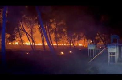 Manfredonia, divampa un nuovo incendio. Il sindaco "Chi sa, parli"