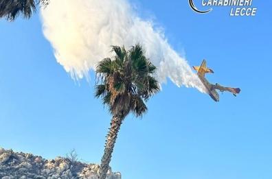 Incendio a Santa Cesarea Terme: le fiamme sulla litoranea minacciano le case e gli alberghi FOTO. Il sindaco: «Tanta paura ma ora situazione sotto controllo»