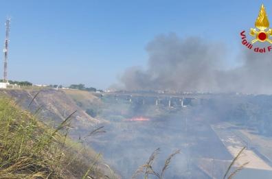 Brindisi, a fuoco il Parco del Cillarese: traffico rallentato sulla statale 16