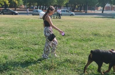 Foggia, allarme polpette avvelenate nel parco di Viale Europa: paura tra i padroni dei cani