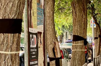 A Barletta un «Flash mob» a difesa degli alberi