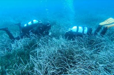 Sub 54enne non risale dopo immersione alle Isole Tremiti: trovato il corpo senza vita
