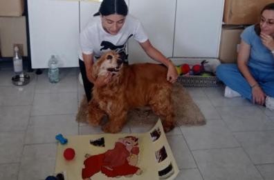 Matera, «Serra Rifusa», la casa della pet therapy dove il cane è più di un amico