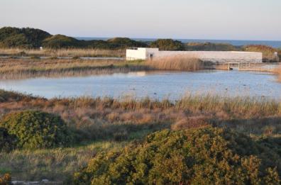 «La norma pugliese sulle dune privatizzerà altre spiagge», la parola all'ex assessore Barbanente