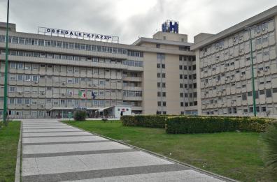 Lecce, morso nei campi da un «ragno violino», anziano rischia di perdere la mano
