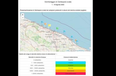 Alga tossica, è di nuovo allarme nel Barese: ecco le zone con presenza «abbondante»