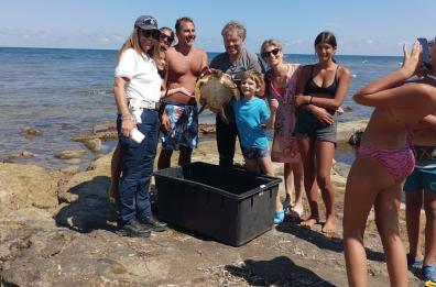 Salvata una tartaruga caretta-caretta nel Barese, ferita e intrappolata tra amo e lenza