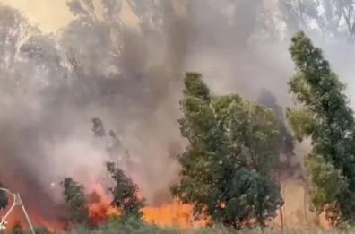 Taranto, fiamme nella zona del fiume Galeso: a fuoco 10 ettari 