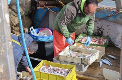 Stop al pesce fresco sulle tavole pugliesi: fermo pesca lungo l'Adriatico dal 16 agosto al 29 settembre