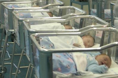 Nel Salento la cicogna non si ferma più: poche le nascite