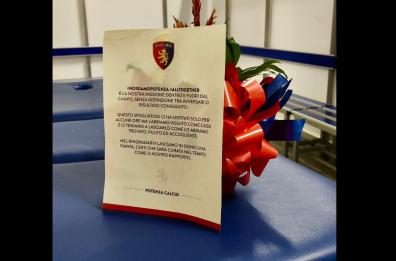 Spogliatoio pulito e una pianta in omaggio: il gesto dei giocatori del Potenza fa emozionare