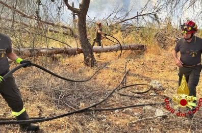 Lequile, fiamme nel bosco Buia: vigili del fuoco sul posto