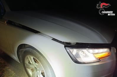 Cinghiali attraversano la strada all'improvviso: due incidenti in un'ora nel Materano