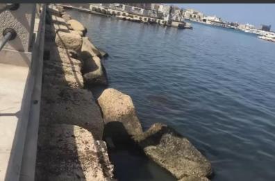 Bari, perché sul lungomare «il mare puzza di urina ed è di color marrone scuro»?