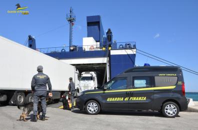 Porto di Brindisi, tenta di introdurre due tartarughe a rischio estinzione: denunciato