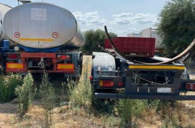 Monopoli, un parcheggio di rimorchi tra gli ulivi secolari: titolare nei guai