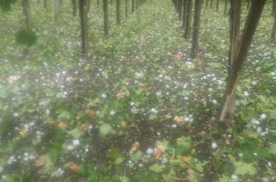 L&rsquo;alto costo annuo della crisi climatica