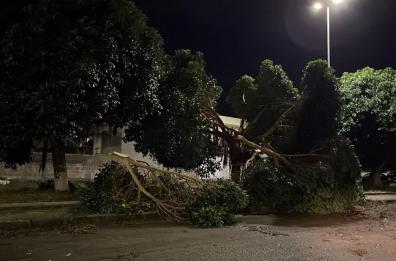 Lecce, oggi alcune scuole chiuse a causa della tromba d'aria 