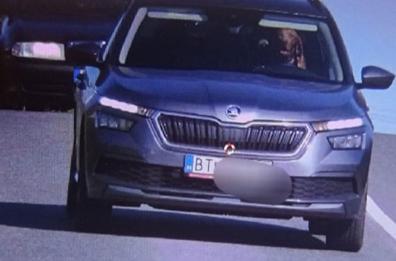 Cane al volante, la polizia multa il proprietario