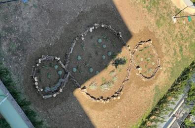 Un «Paradiso degli ulivi» fiorisce nel quartiere Libertà di Bari