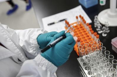 Batteri «addestrati» a curare: assunzioni e milioni di euro per il BioTech in Puglia e Basilicata