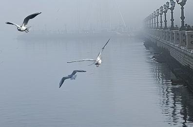 La foto del giorno: la gallery del 10 ottobre 2023