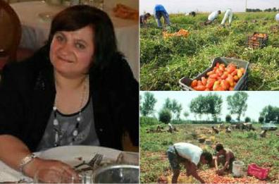Bracciante morta di caldo ad Andria, Terrone: «Mai stato il suo datore di lavoro»