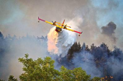 Rogo a Minervino Murge: in fumo 230 ettari di bosco e pascolo