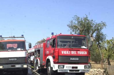 A fuoco campagna tra Minervino Murge e Andria: fiamme alimentate dal vento