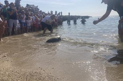 Taranto: conto alla rovescia per la riapertura dell'oasi di palude «La vela»

