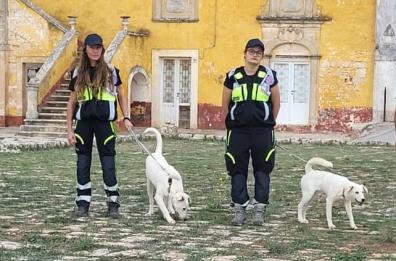 Puglia, ecco i cani addestrati per fiutare la Xylella fastidiosa