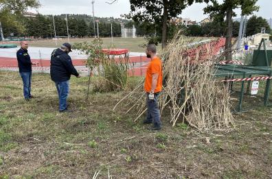 Potenza: cinghiali a Macchia Romana, altre due gabbie nel quartiere
