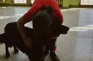 Lecce, è da un anno in carcere ma nessuno gli fa visita: la direttrice lo autorizza a riabbracciare il suo cane 