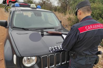 Nardò, uccide 4 allodole utilizzando richiami acustici illegali: denunciato bracconiere