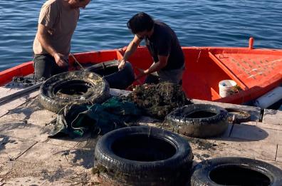 Porto Cesareo, operazione pulizia: dai fondali emergono rifiuti d'ogni genere