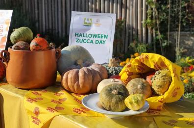 Halloween, arriva lo Zucca day: i mercati contadini si trasformano in pumpkin patch