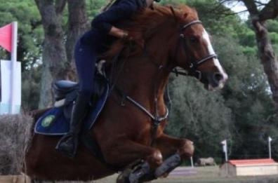 Equitazione, la Puglia vince il trofeo delle regioni Cross Country Derby