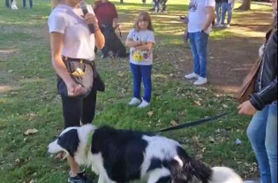 Bari, scuola a 4 zampe nel Parco 2 Giugno
