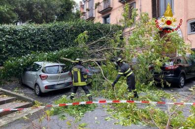 Il vento forte sferza la Puglia e la Basilicata. Disagi nella Bat, nel Potentino e nel Foggiano