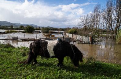 Parte dalla Puglia una colonna della Protezione civile per la Toscana

