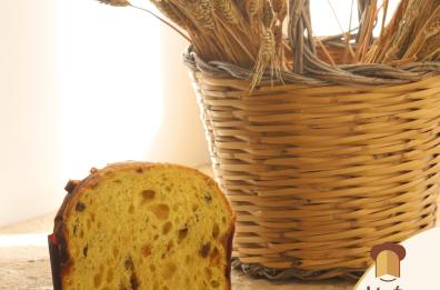Sfida tra panettoni artigianali: in finale 3 pasticceri del Barese 