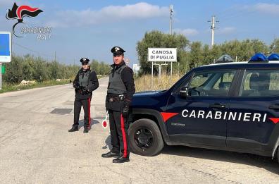 Sorpresi a rubare olive, tre arresti dei Carabinieri nella Bat