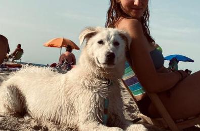 Condividere l'Amore: la storia di Claudia e la sua candida Mimma