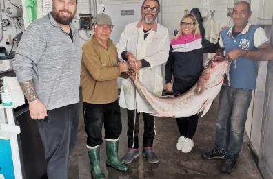 Castro, notte di pesca record: catturata ricciola imperiale di 48kg