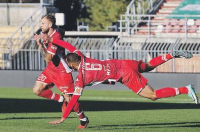 Calcio, Barone: «Bari ha potenziale e mezzi per aggredire i primi posti»