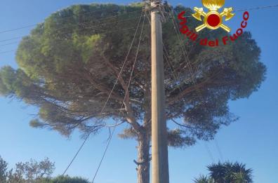 Tragedia sfiorata a Tricase, 50enne tocca i fili dell'alta tensione: ferito