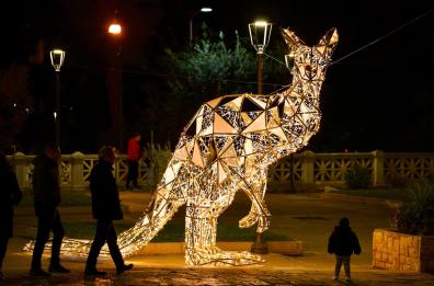 Fasano, le luci di Natale sono a forma di animali giganti: già un grande successo
